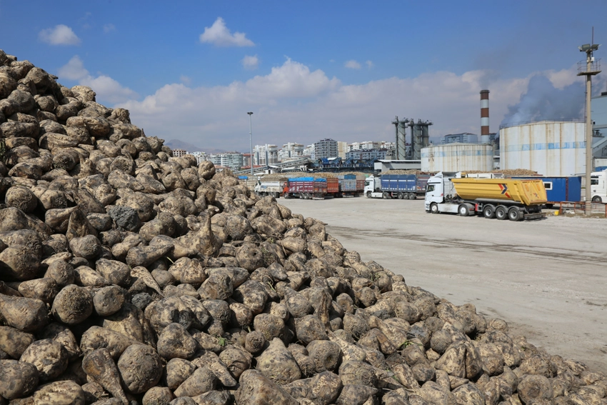 Konya Şeker'den Üreticiye Müjde!