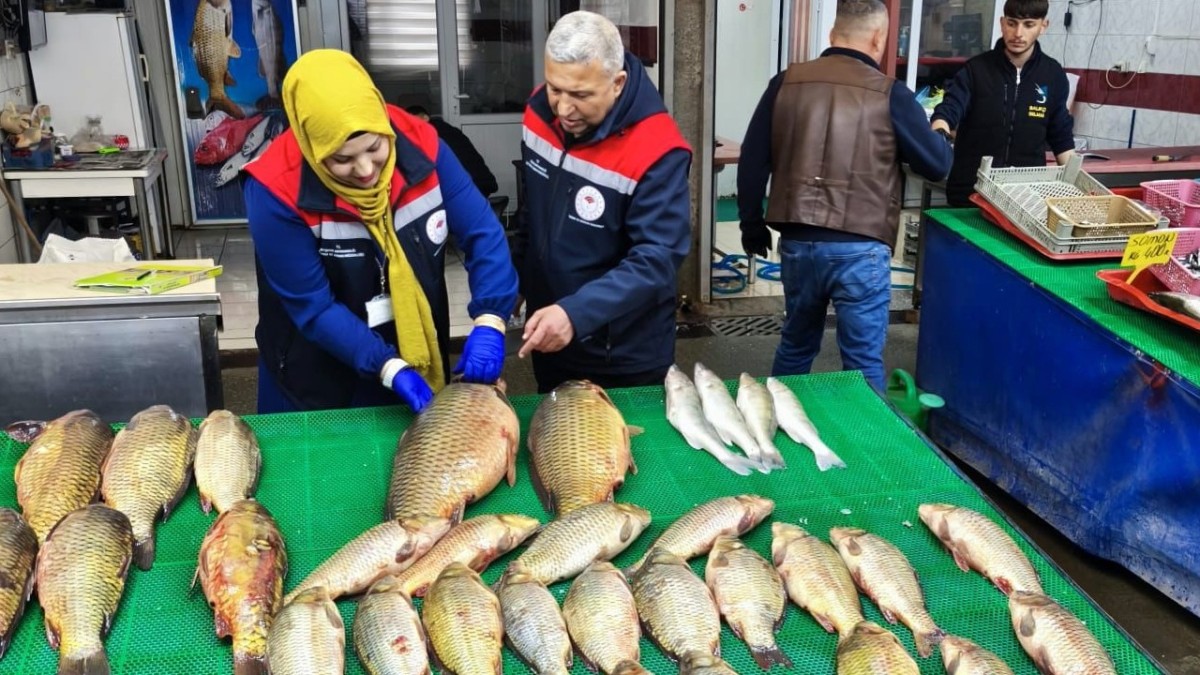 Beyşehir’de Su Ürünleri Denetimleri Sürüyor