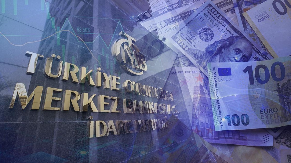 Merkez Bankası, Hükümete 