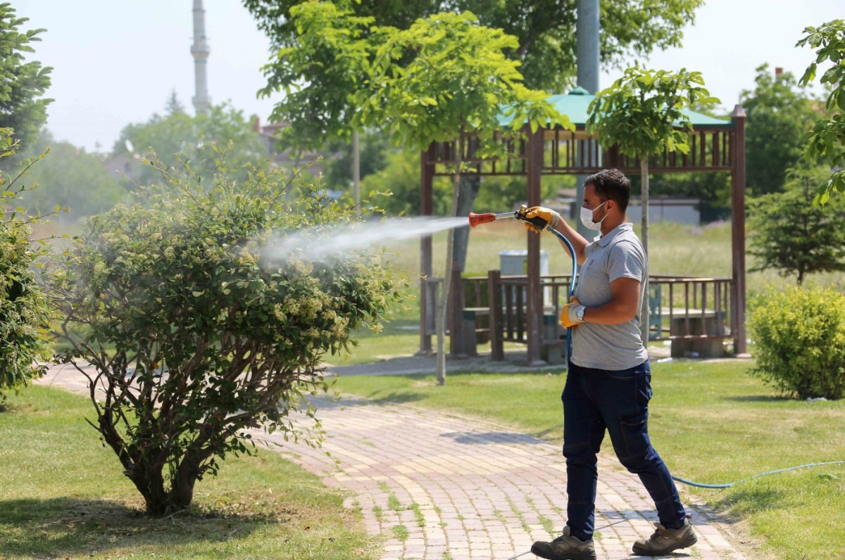Meram’da Haşereye Karşı Gece Gündüz Mücadele