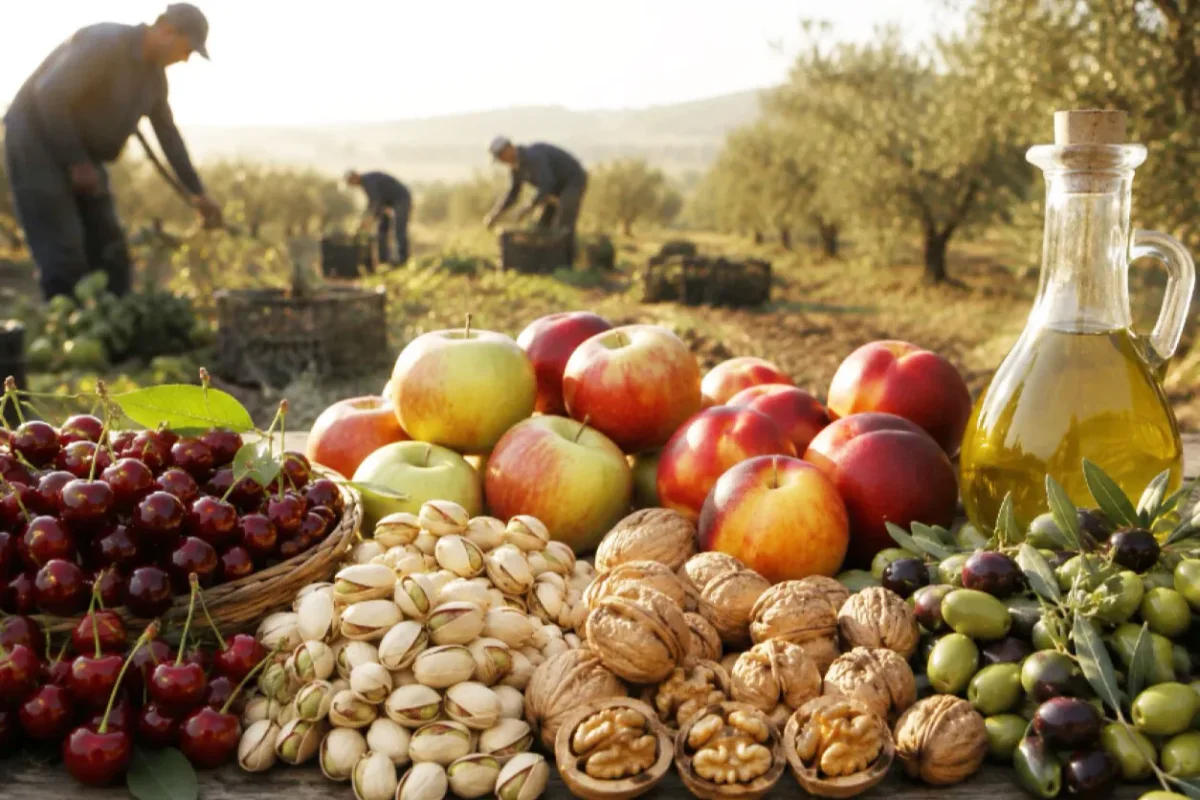 2026’da zeytin ve meyve üretiminde büyük artış bekleniyor