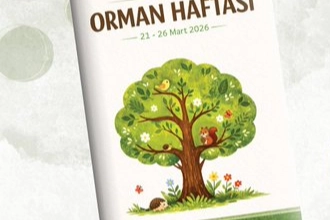 MEB’den “Orman Haftası” İçin Okul Öncesi Etkinlik Takvimi