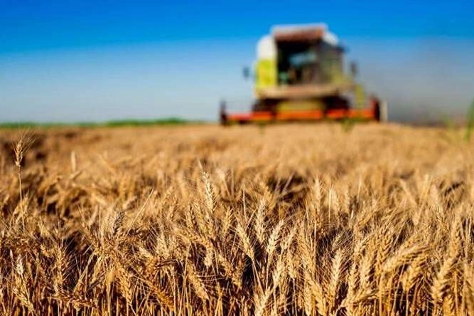 Kırsal Kalkınma Yatırımlarında 10 Milyar TL'lik Destek Başladı