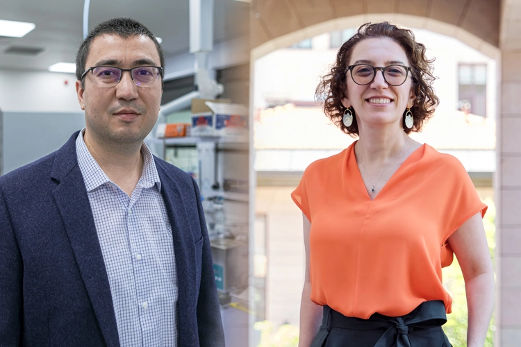 Koç Üniversitesi’nden ERC Başarısı